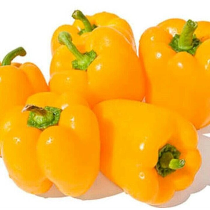 5 Benih Paprika golden star F1 bibit tanaman sayur sayuran cabe cabai kuning