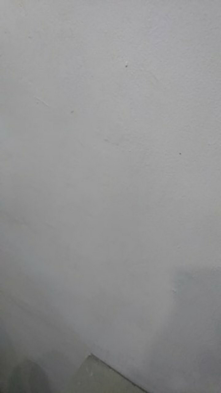 Tey-17 Batik Wanita Asj Sa Hrb026 Kenongo Kemeja Tosca Pendek