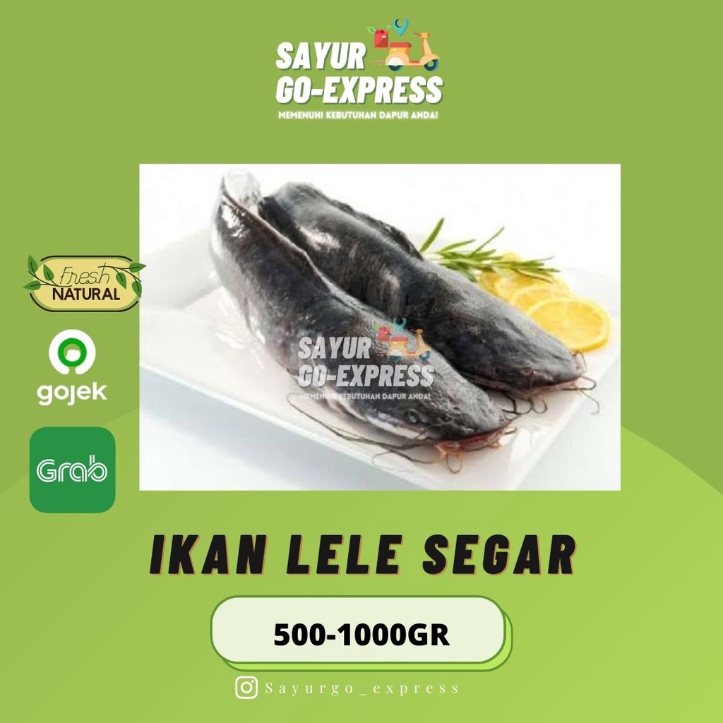 

Ikan Lele Segar 500 - 1000 gram