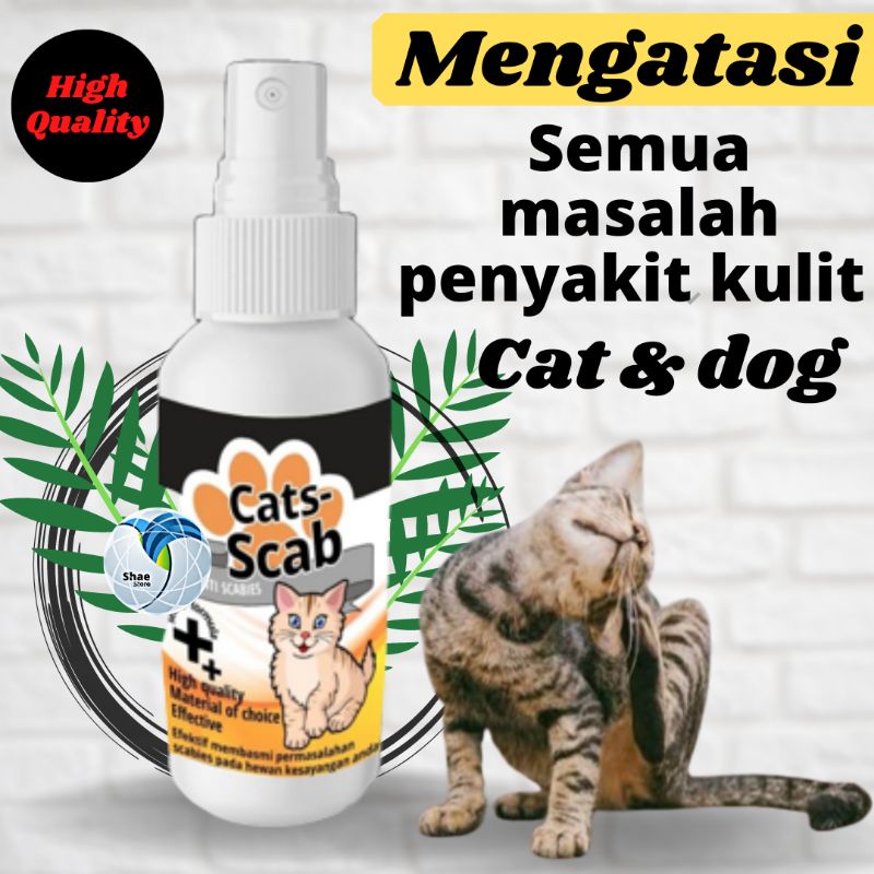 Cat Scab Obat Anti Jamur Kulit Kucing Scabies Kadas Kudis Infeksi kulit