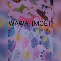 wawa_imoet