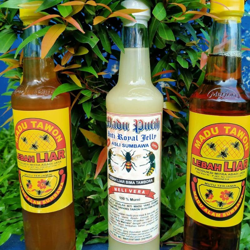 

Madu hutan Sumbawa