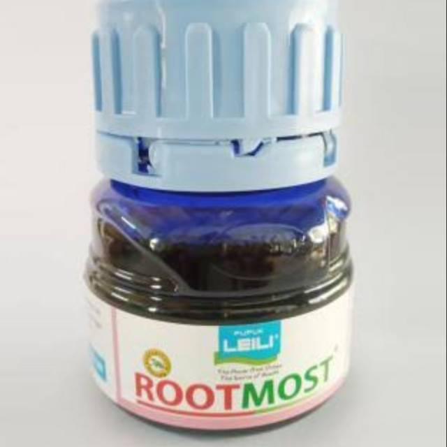 Obat perangsang tumbuh akar