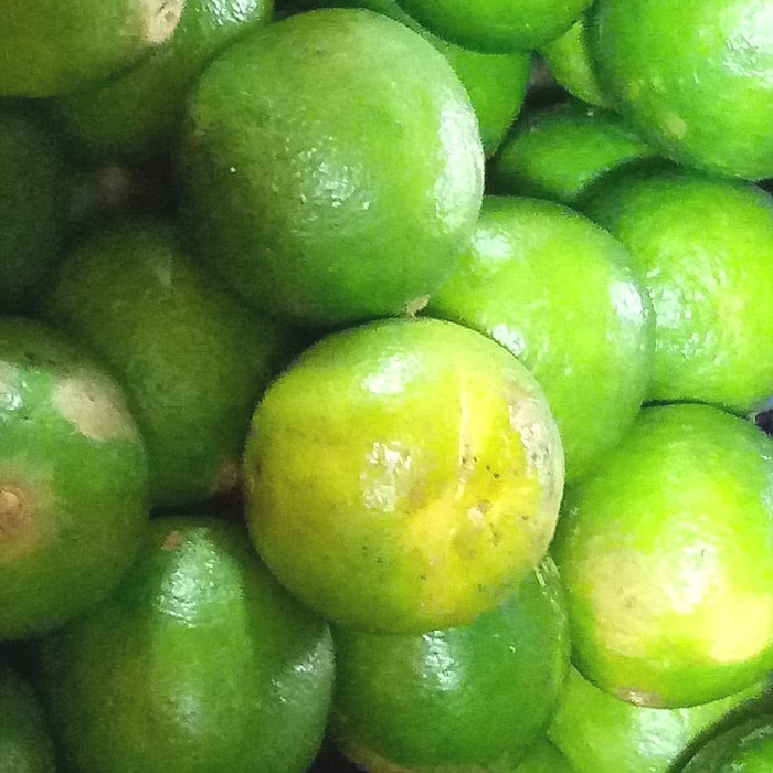 

tradisional-minuman- jeruk nipis besar 250 grm - 100gr -minuman-tradisional.