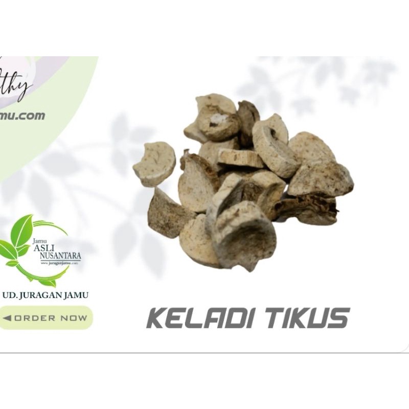 

Keladi Tikus Organik kering / kladi tikus