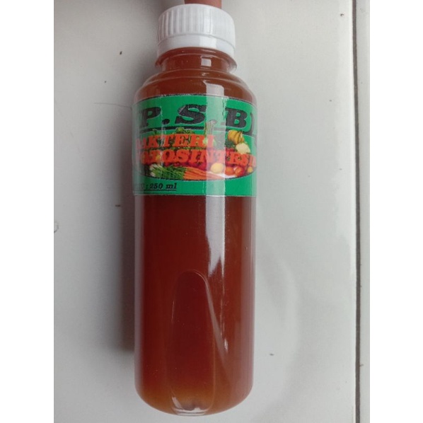 250 ml BIANG PSB PUPUK BAKTERI FOTOSINTESIS 100% ASLI