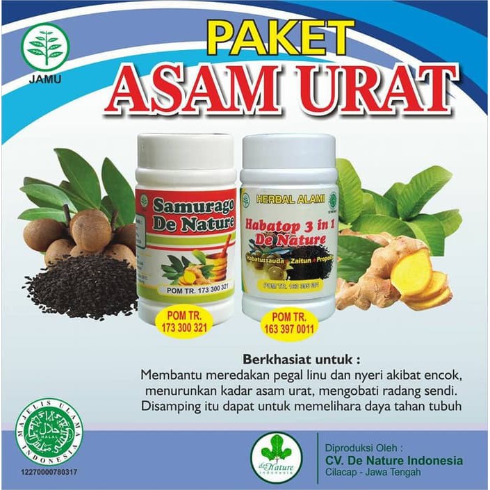 

Obat Herbal Asam Urat Super Aman De Nature