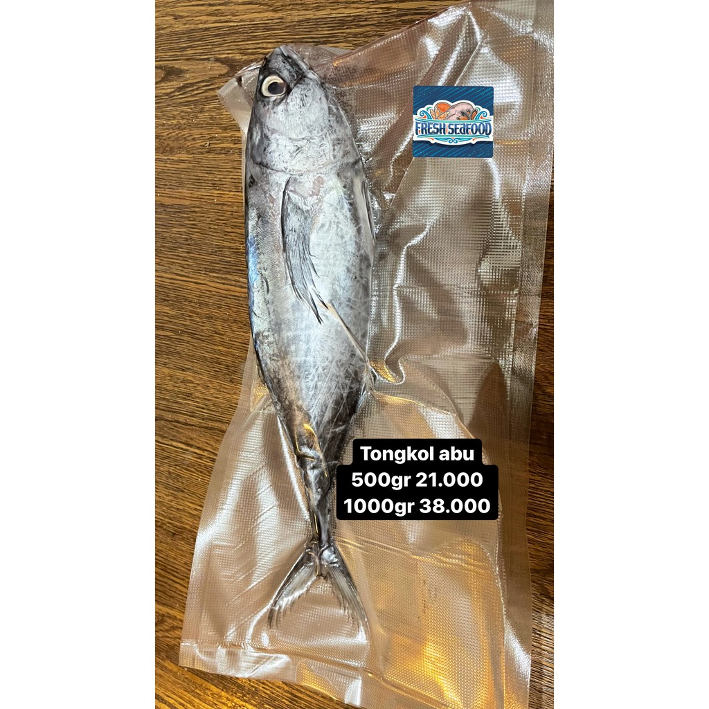 

IKAN TONGKOL FRESH/SEAFRESH