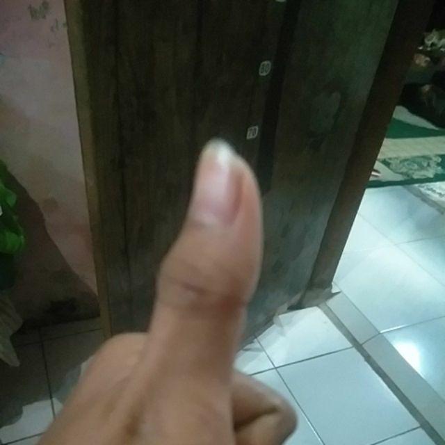 Kotak Makan Rainbow Lunch Set