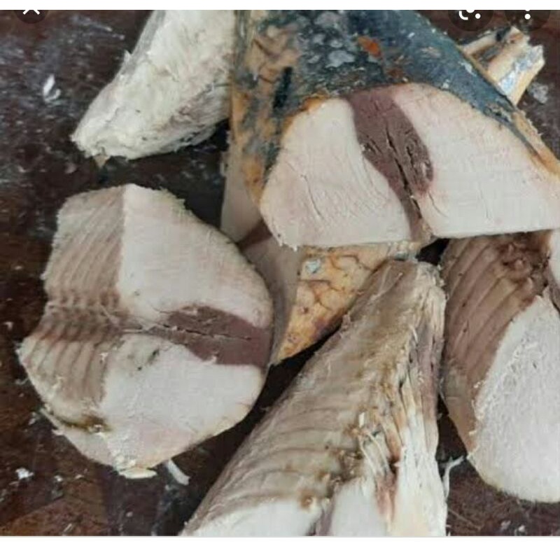 

ikan tongkol rebus 3 potong