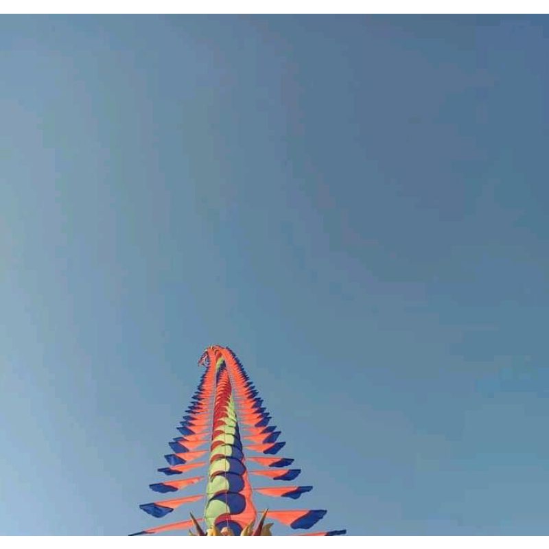 BADAN LAYANGAN NAGA FULL FIBER DAN KAIN