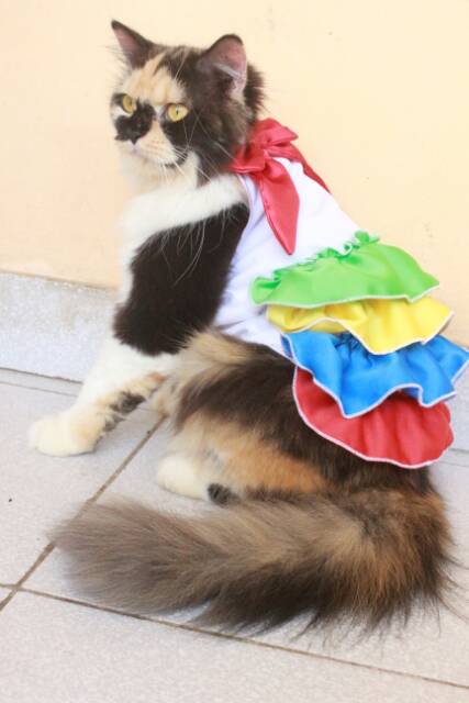 Dress miss rainbow untuk kucing dan anjing / baju kucing murah meriah size S M L XL