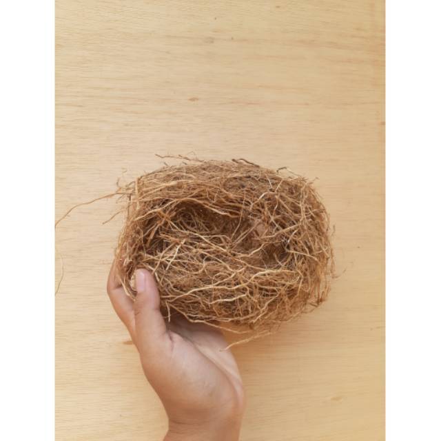 

Akar Wangi (25 gram)
