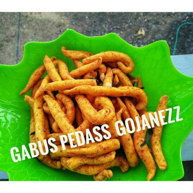 

Gabus pedass