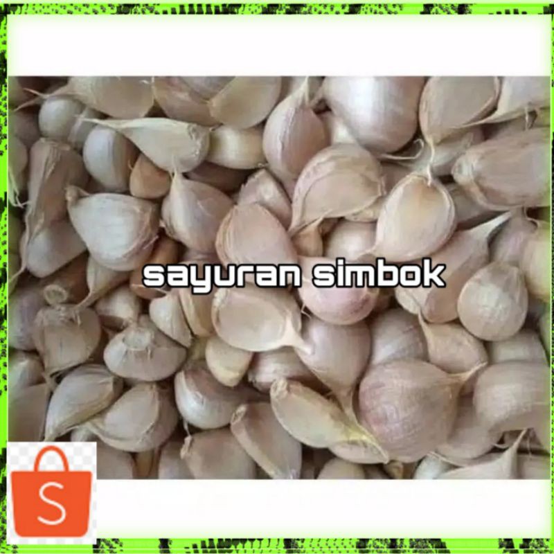 

Bawang Putih Kating 1kg