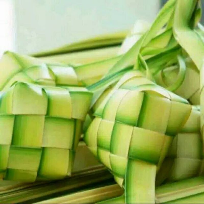 

ketupat 10 pcs besar segar