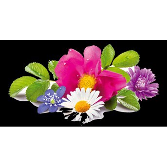 

Bibit Parfum Pewangi Snappy 100 cc