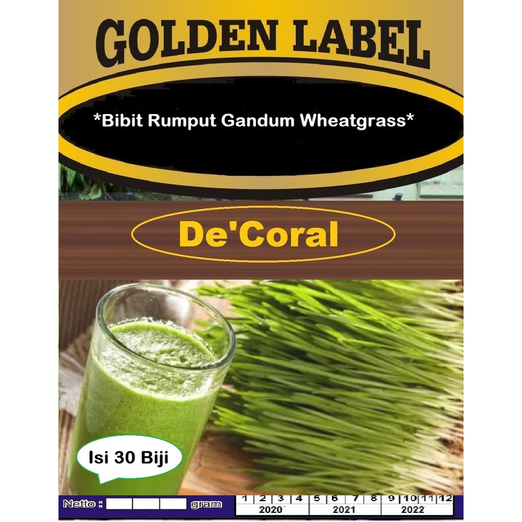 Bibit Rumput Gandum Wheatgrass | Benih Rumput Gandum Wheatgrass