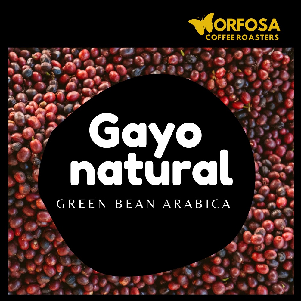 

GREEN BEAN KOPI ARABIKA GAYO NATURAL 500 GRAM BIJI MENTAH KOPI ARABICA ACEH GAYO GREENBEAN