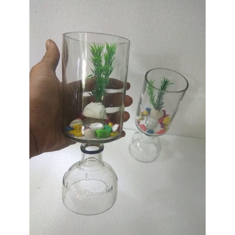 botol tempat pelihara ikan cupang toples tabung botol tabung botol unik soliter tempat ikan cupang