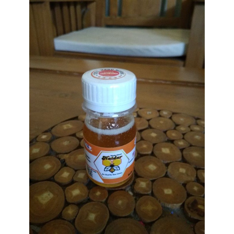 

Madu Hutan Multiflora Sumatera Haidar 50 Gram