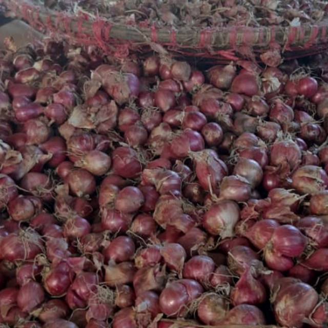 

Bawang merah