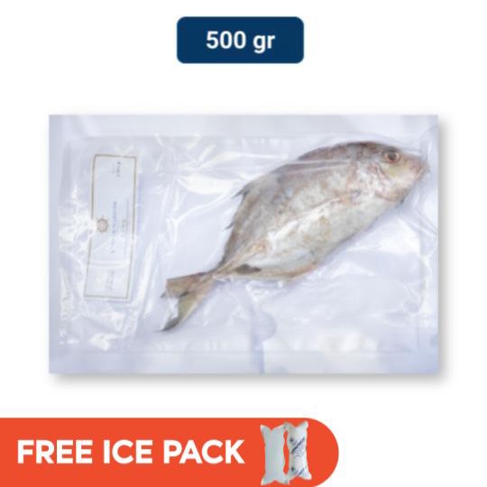 Bandar Maritim Ikan Kuwe Bongkok 1 Pack (500 gr)