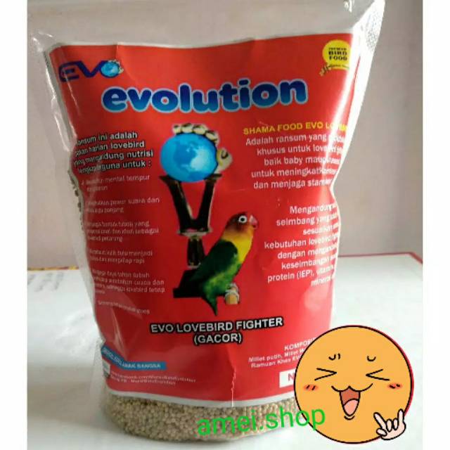 Pakan burung lovebird evolution evo lovebird fighter gacor