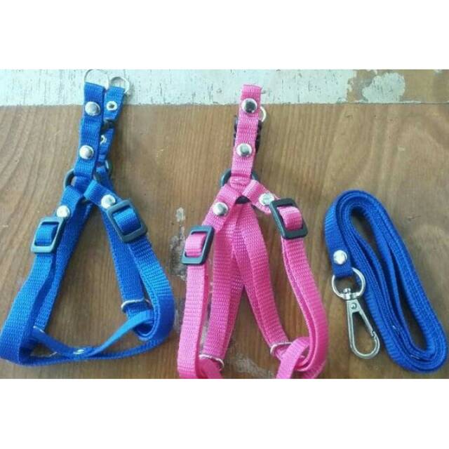Harness tali kekang kucing musang kelinci anjing mini