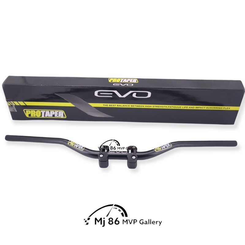 Stang Fatbar Protaper Evo Low + Busa Stang