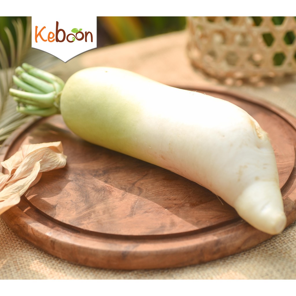 

Lobak Putih (500 gr)