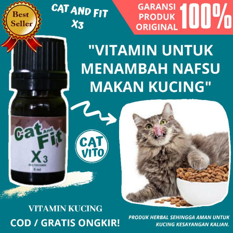 VITAMIN KUCING CAT AND FIT X3 UNTUK MENAMBAH NAFSU MAKAN MENJADIKAN KUCING GEMUK SEHAT BULU LEBAT