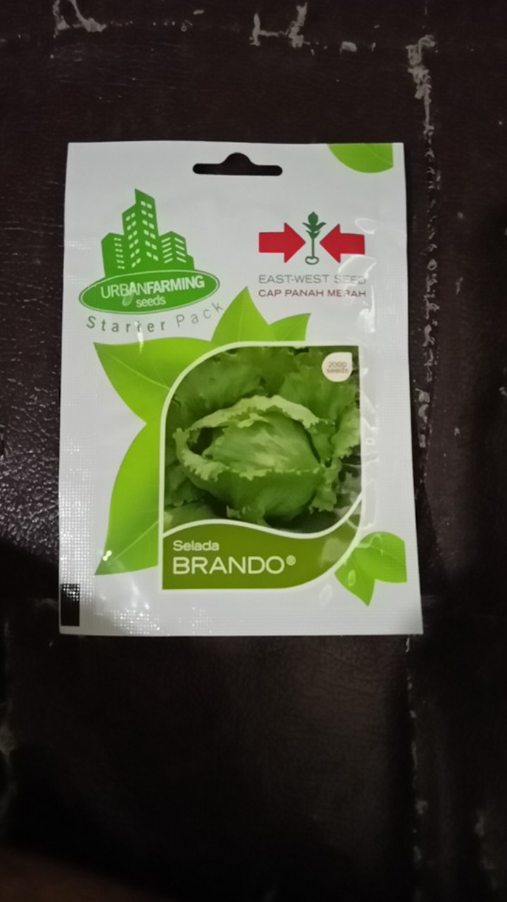 Isi 2000 Biji - Benih Selada Brando (cap Panah Merah)