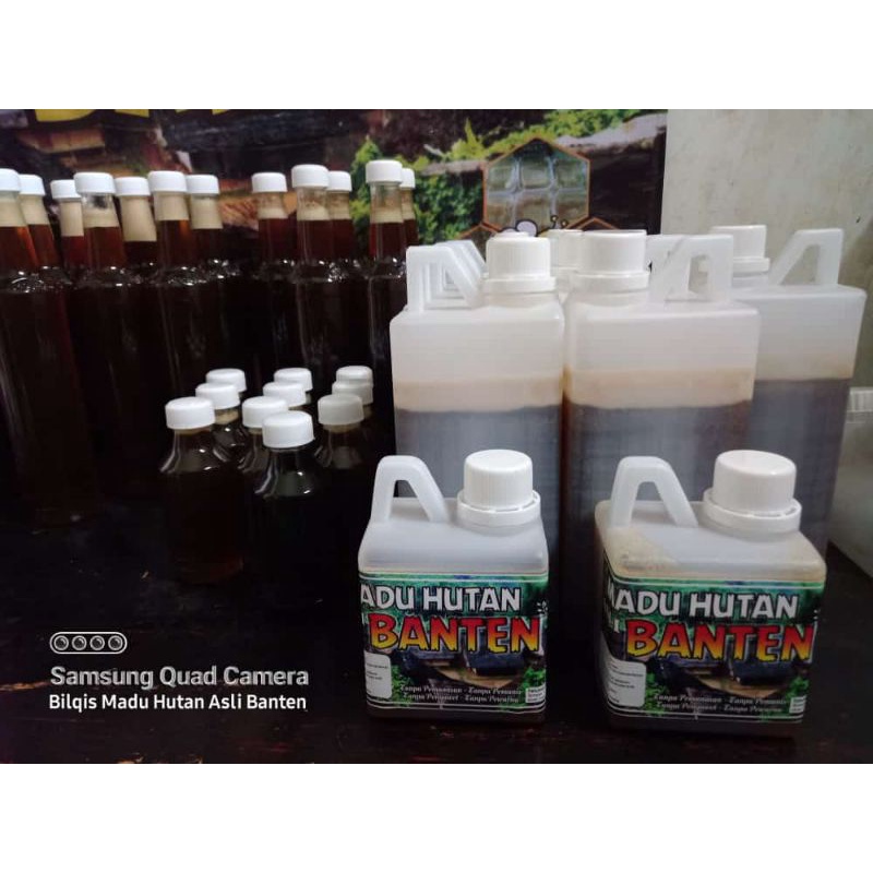 

Madu Hutan Asli Banten
