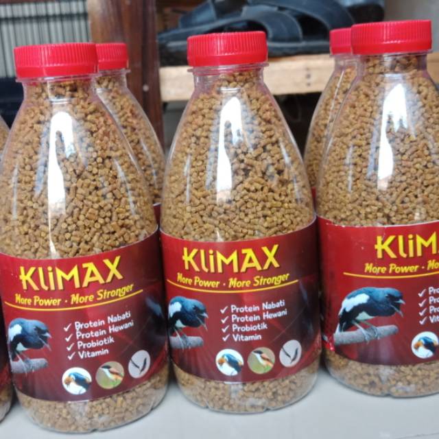 FUR KLIMAX COKLAT - FUR BURUNG OCEHAN - FUR BURUNG MURAI BATU - FUR BURUNG CUCAK IJO - FUR BURUNG KA