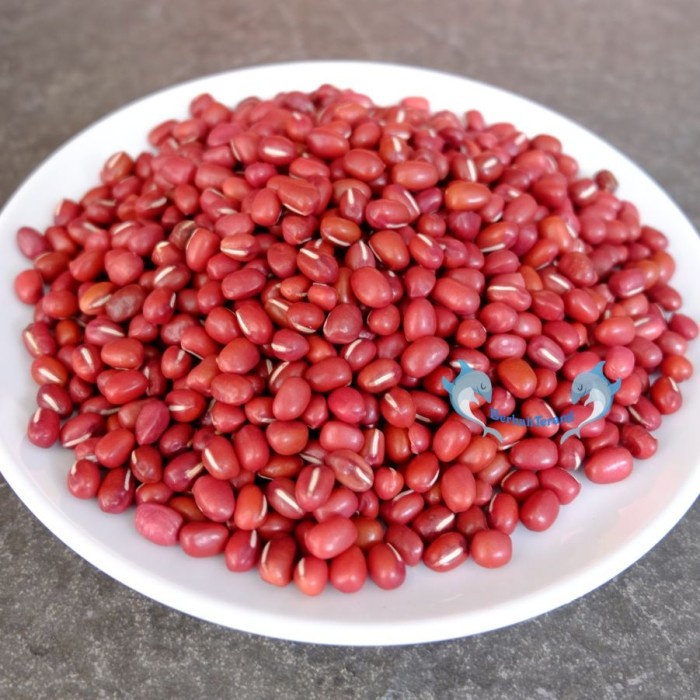 

Q1254521 Kacang Merah Adzuki Beans Super Import Rrc 1 Kg / Azuki Red Beans - 1 Kg Dw51Sqs