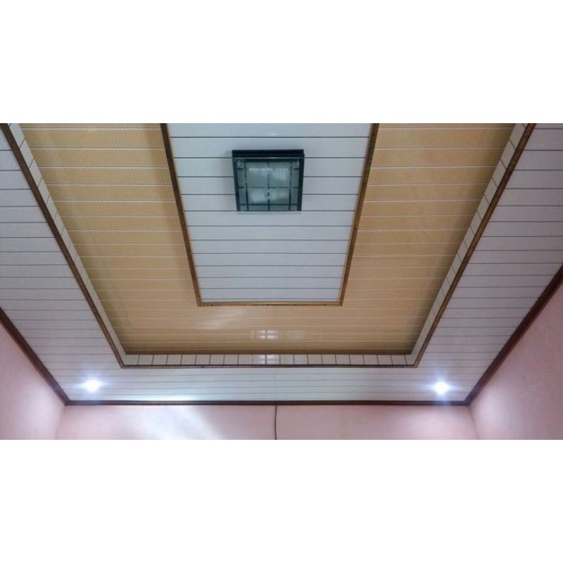 plafond pvc