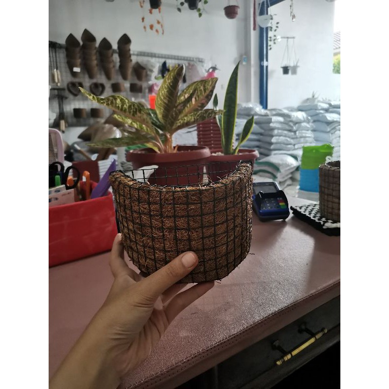 POT ANGGREK SERABUT KELAPA