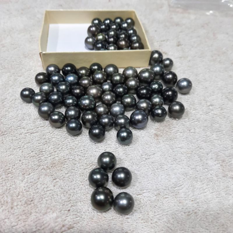 Mutiara Air Laut Hitam Grade A