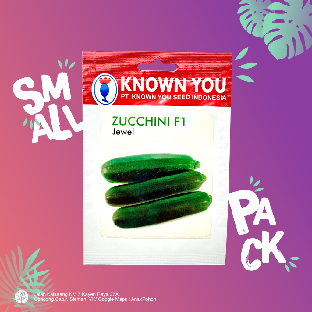 (1 PACK) Benih Mentimun Zucchini F1 Jewel Zukini Hijau Courgette Seeds - Known You Seed KYS - 10 SEEDS