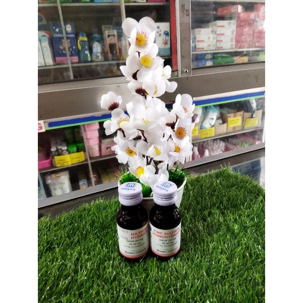 ZINC SULFATE MONOHYDRATE