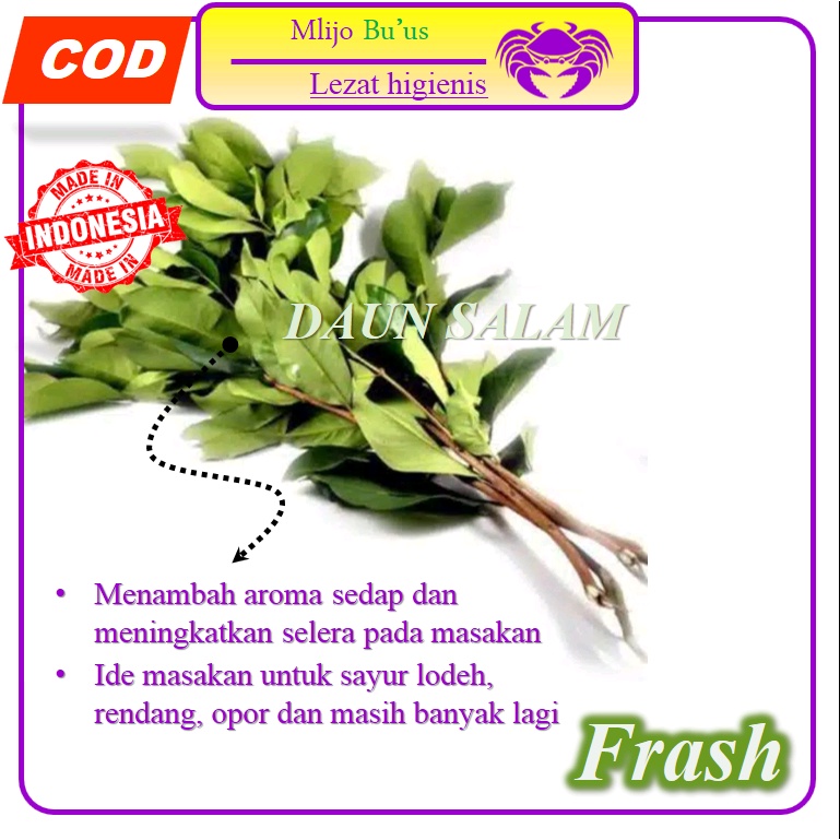 

Daun Salam 100 gr Bumbu Masak Rempah Sayuran Mlijo Bu'us