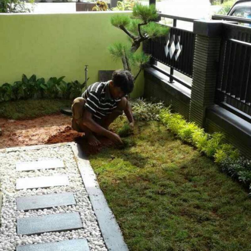 Jasa renovasi taman/Jasa pembuatan taman Minimalis/pembuatan taman JABODETABEK