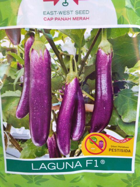 Kain Flanel Kain Sumbu Hidroponik Ukuran +- 1/2 Meter