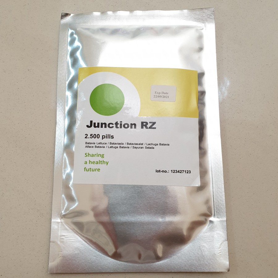 Benih Junction RZ Batavia Lettuce JUNCTION Rijk Zwaan (2500 seeds)