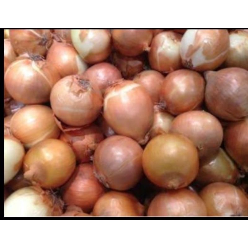 

bawang Bombay lepas kulit 1kg (1000 gram)