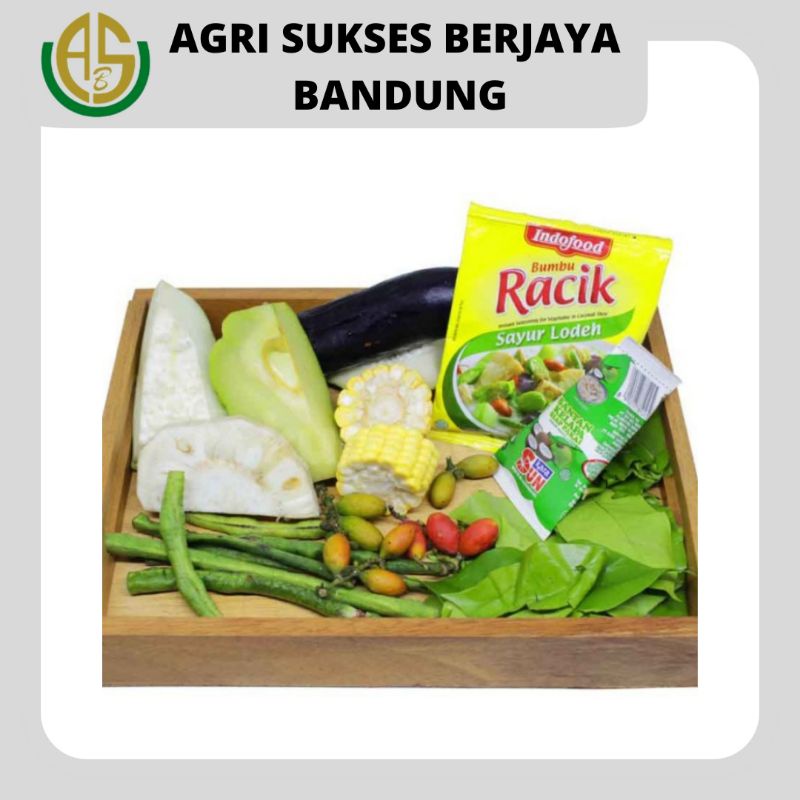 

Paket Sayur Lodeh Lengkap + Bumbu Racik dan Santan