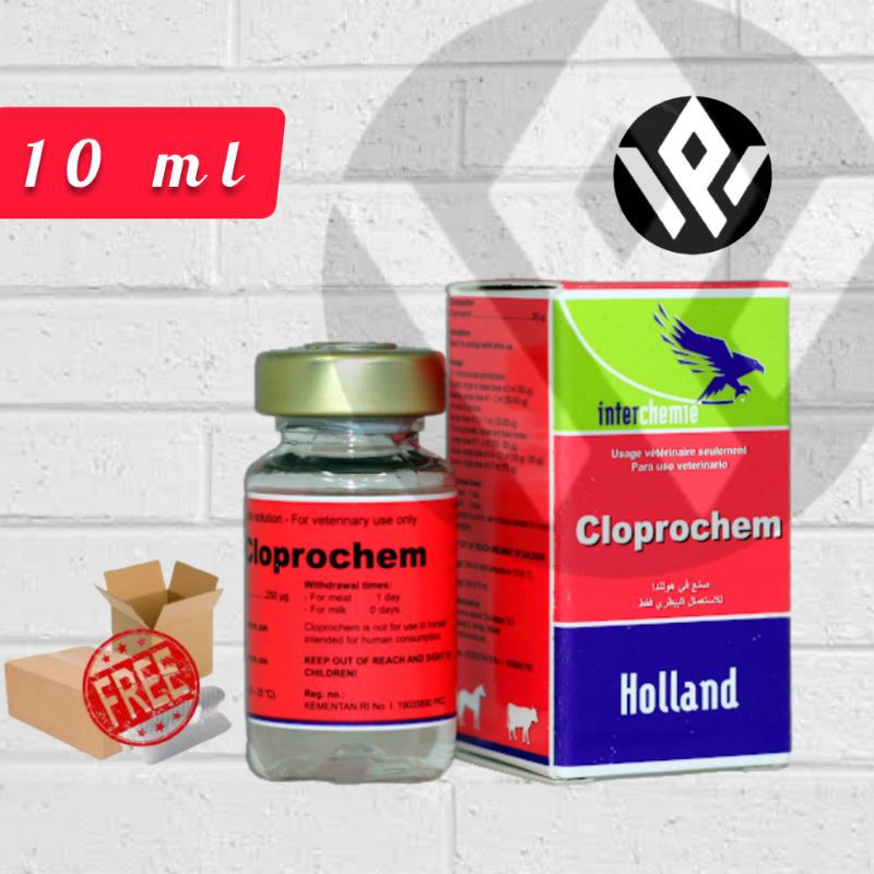 Cloprochem 10 ml prostaglandin mengatasi gangguan reproduksi hewan