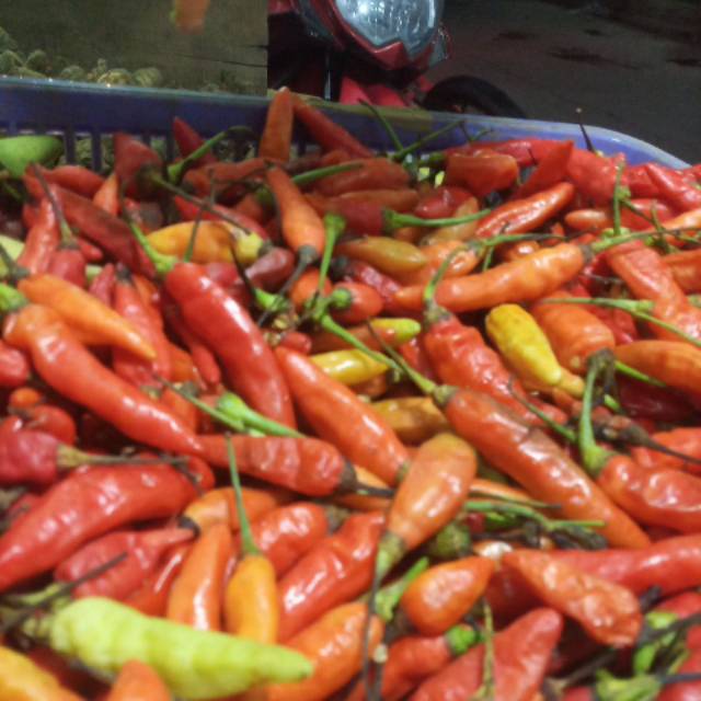 

Cabe rawit merah