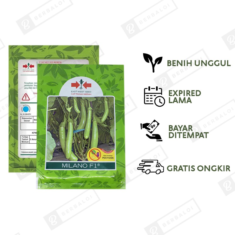 COD Milano F1 Benih Terong Hijau Dataran Rendah-menengah 1100 Butir